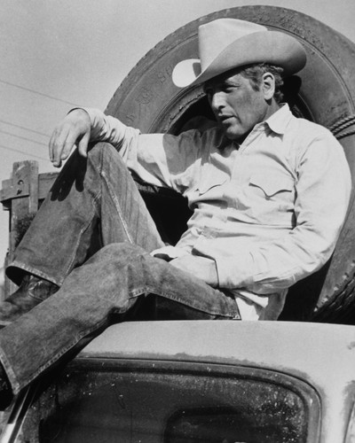 Picture of Paul Newman